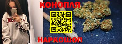 винт Новокубанск